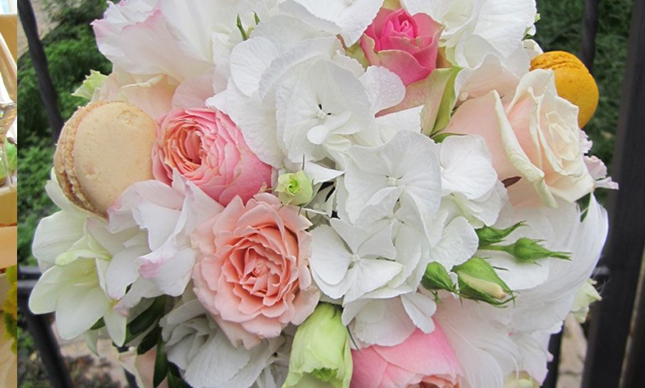 Portofoliu - Bine ai venit pe lume 3