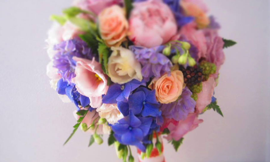 Portofoliu - Bine ai venit pe lume 5