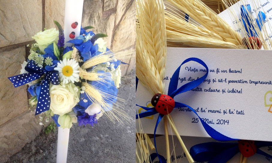 Portofoliu - Bine ai venit pe lume 6