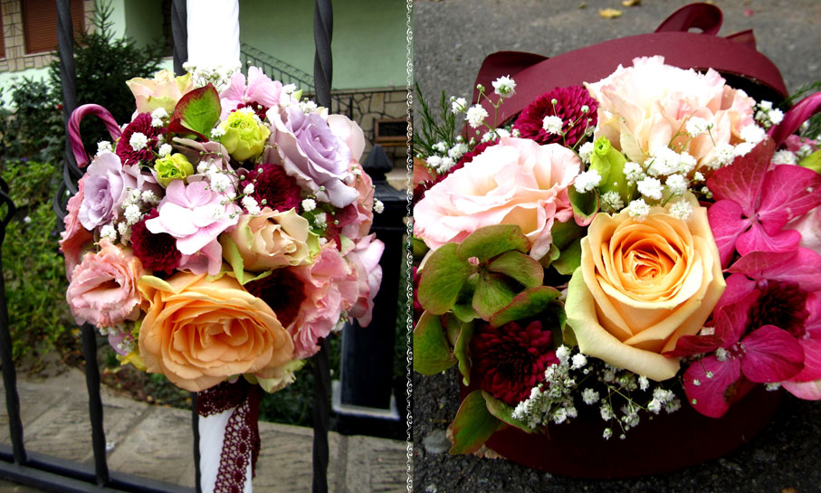 Portofoliu - Bine ai venit pe lume 7