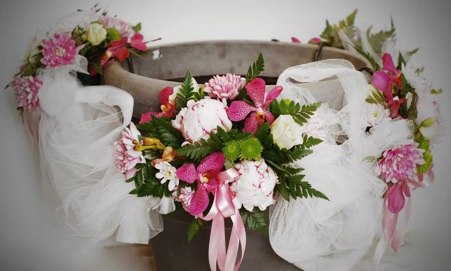 Portofoliu - Bine ai venit pe lume 17