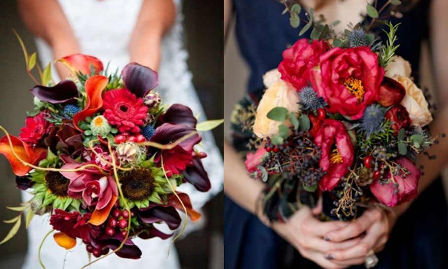 Portofoliu - O zi frumoasa din viata noastra 8