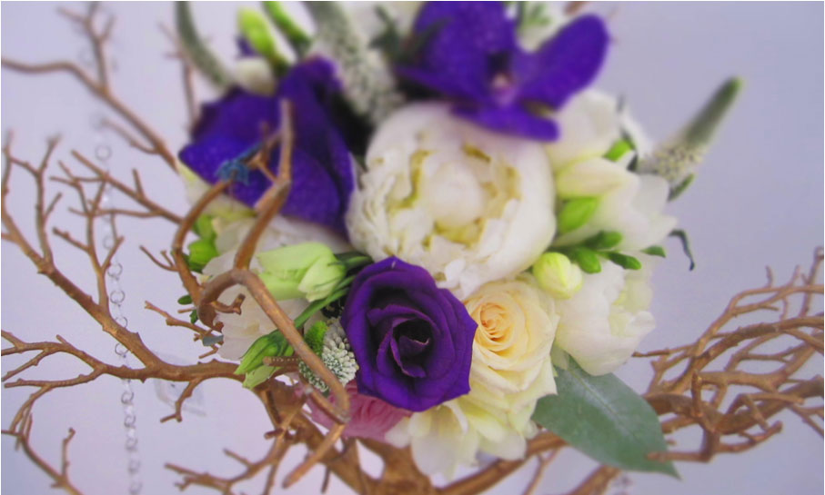 Portofoliu - O zi frumoasa din viata noastra 34